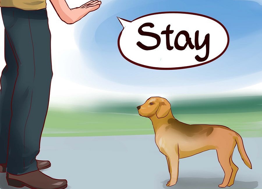 How train a guard dog watchdog