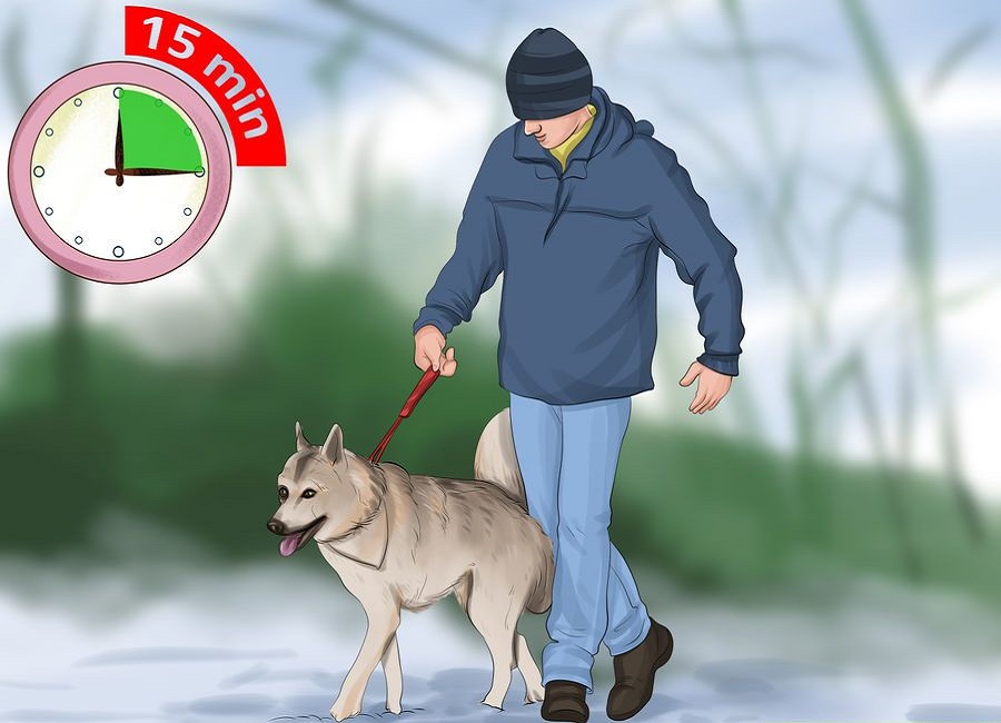 پیاده روی در سرما با سگ