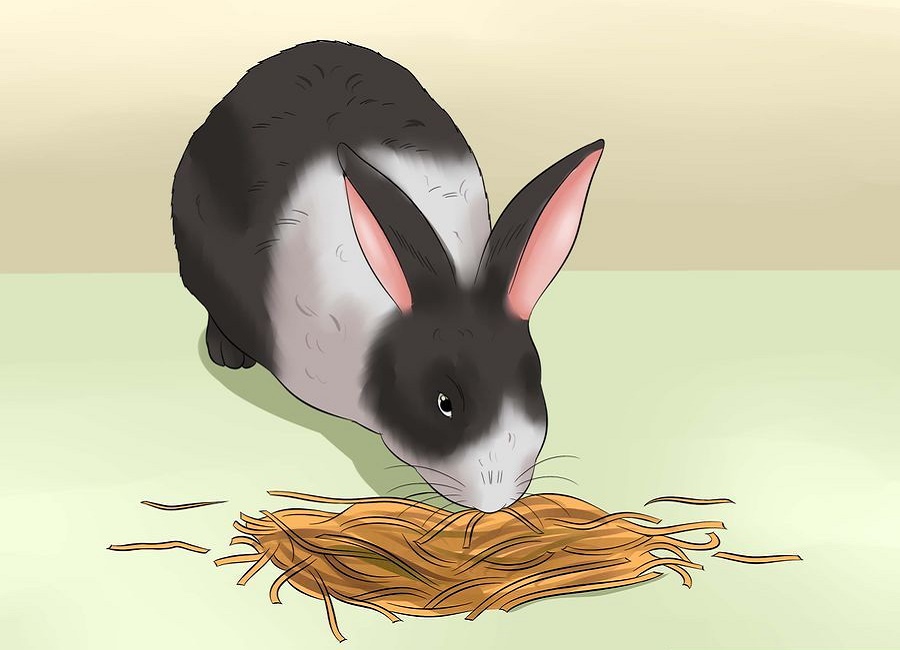 نقاشی خرگوش