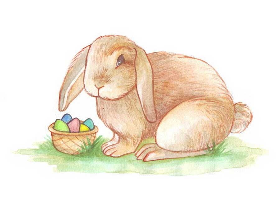 آموزش رنگ آمیزی نقاشی خرگوش