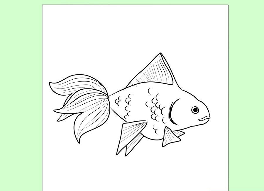 نقاشی کامل ماهی
