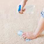 از بین بردن بوی ادرار روی فرش