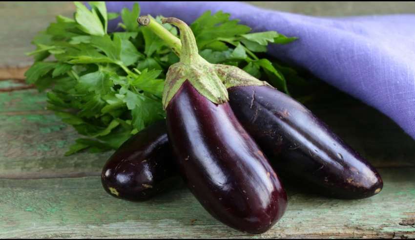 تشخیص بادمجان شیرین