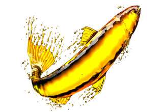 روغن ماهی