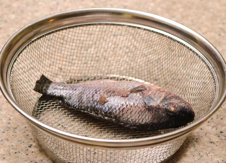 پختن ماهی در زودپز