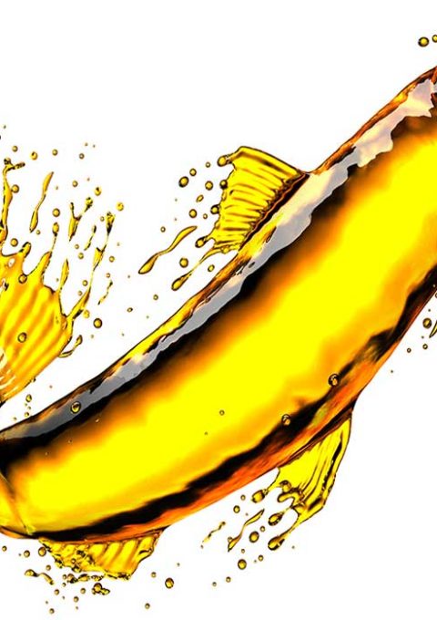 روغن ماهی