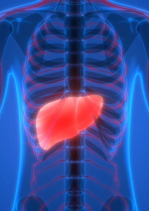 Reverse-Fatty-Liver00-www.koorook.com درمان طبیعی کبد چرب