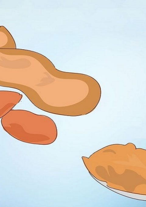 مواد غذایی خطرناک برای عروس هلندی