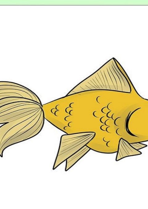 آموزش نقاشی ماهی